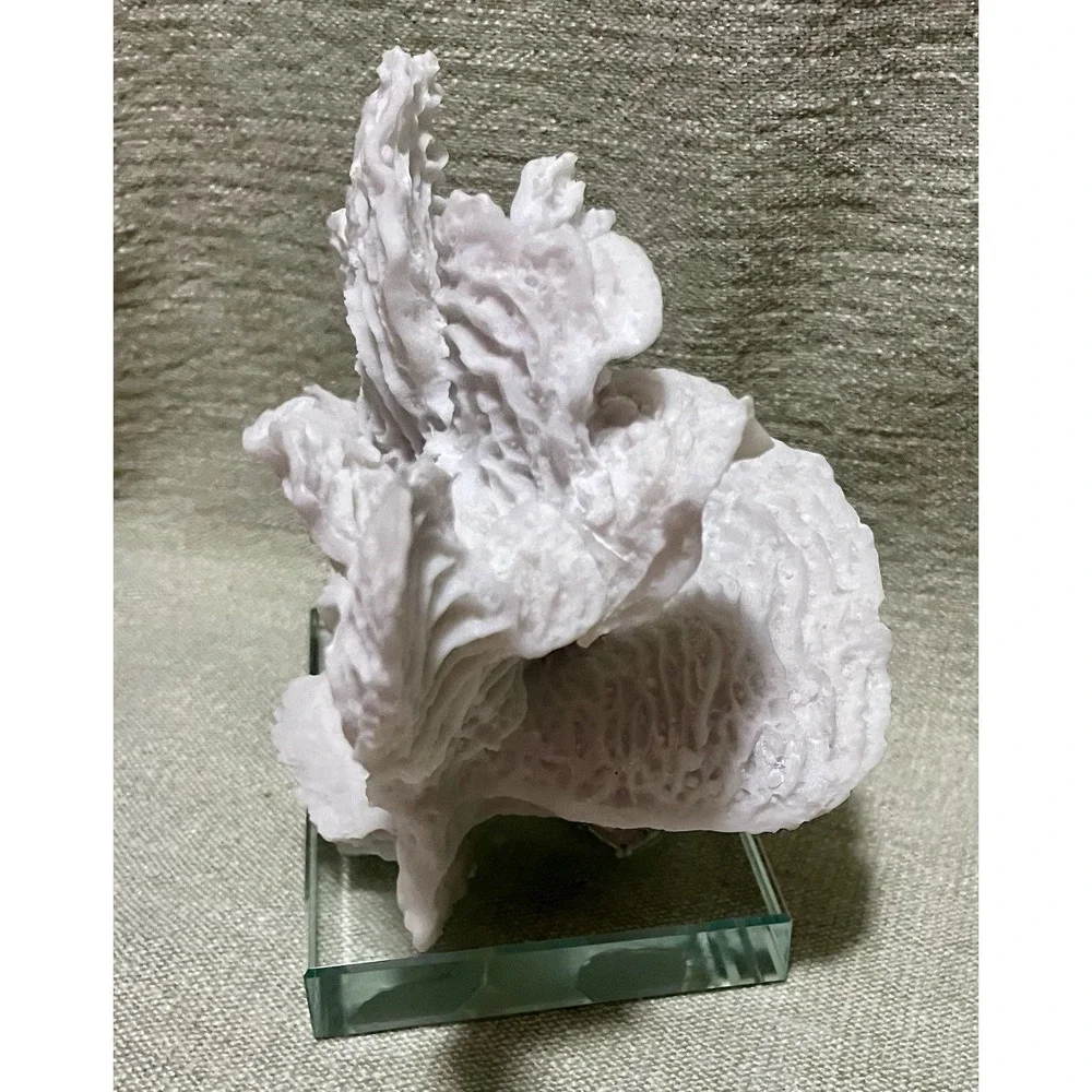 Faux White 9